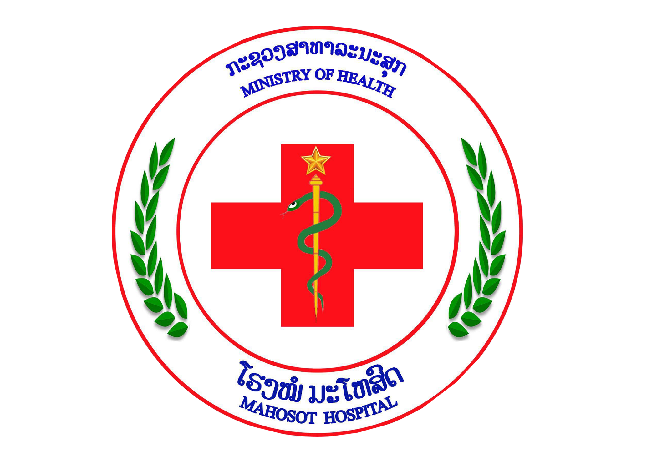 Hospital Logo